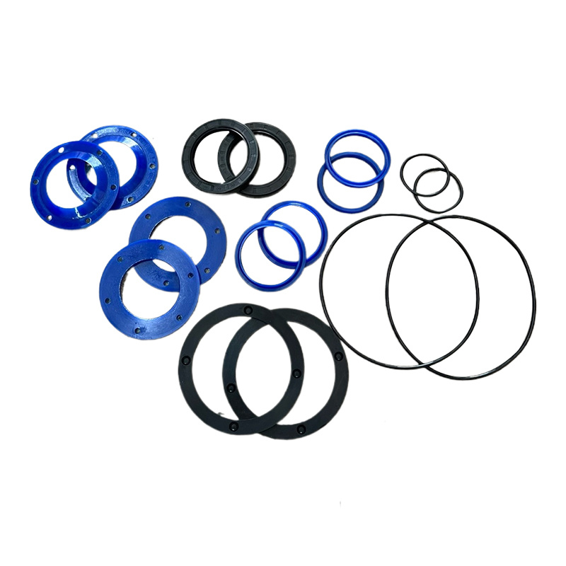 Seal set for plunger cylinder — Hebei Chunda fitment part (interim photo).