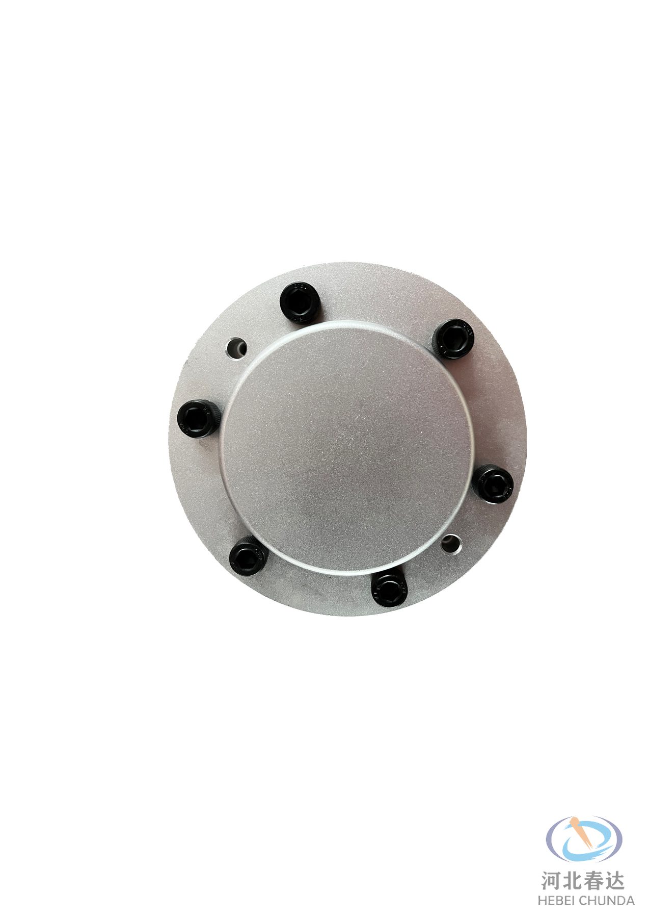 Agitator Bearing · 10061073 — Hebei Chunda replacement part.